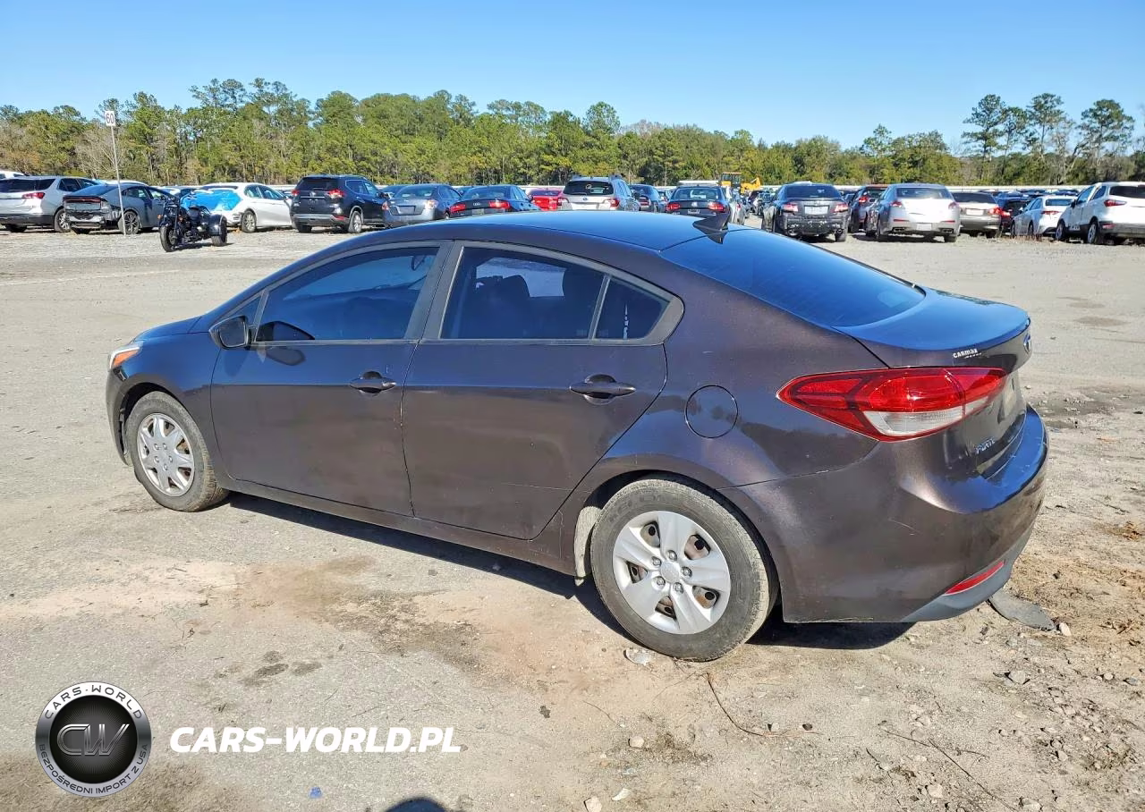 2017 Kia Forte Lx VIN:3KPFL4A7XHE031845 - 2
