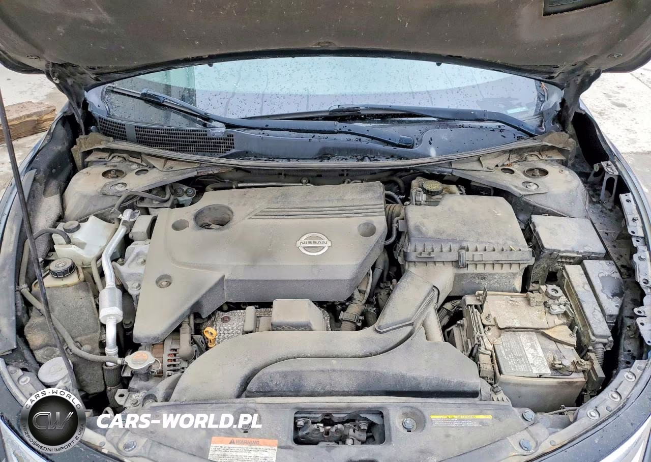 2014 Nissan Altima 2.5 VIN:1N4AL3AP6EC411195 - 11