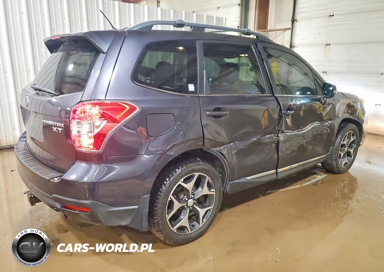 2015 Subaru Forester 2.0Xt Touring VIN:JF2SJGUCXFH423974 - 3