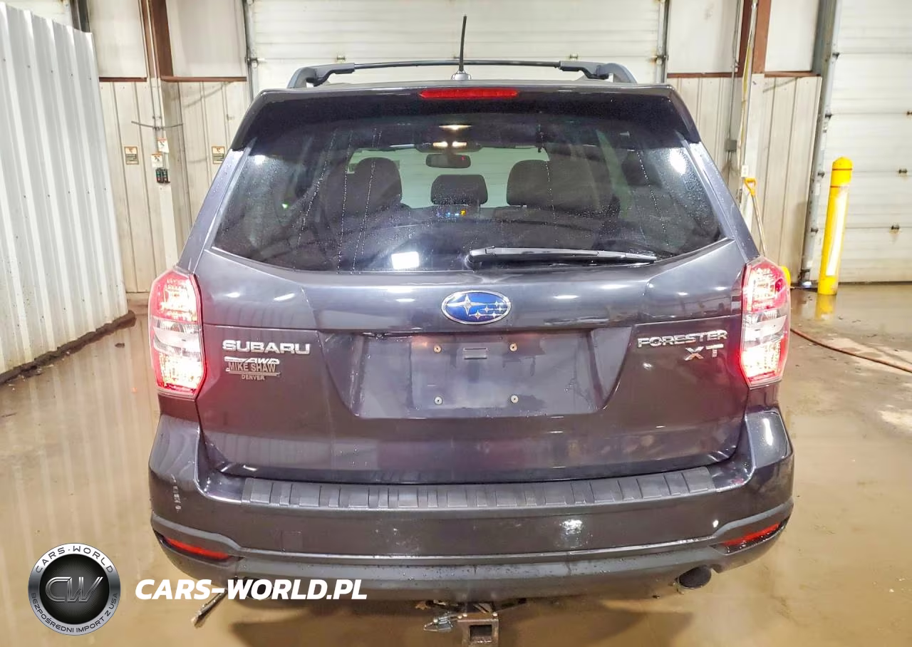 2015 Subaru Forester 2.0Xt Touring VIN:JF2SJGUCXFH423974 - 6