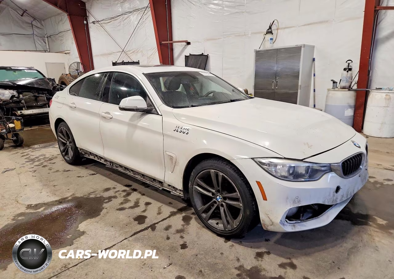 2016 BMW 428 Xi Gran Coupe Sulev VIN:WBA4C9C56GG139276 - 4