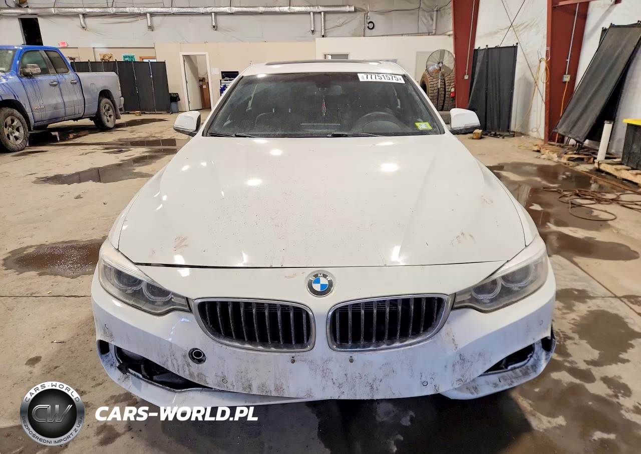 2016 BMW 428 Xi Gran Coupe Sulev VIN:WBA4C9C56GG139276 - 5