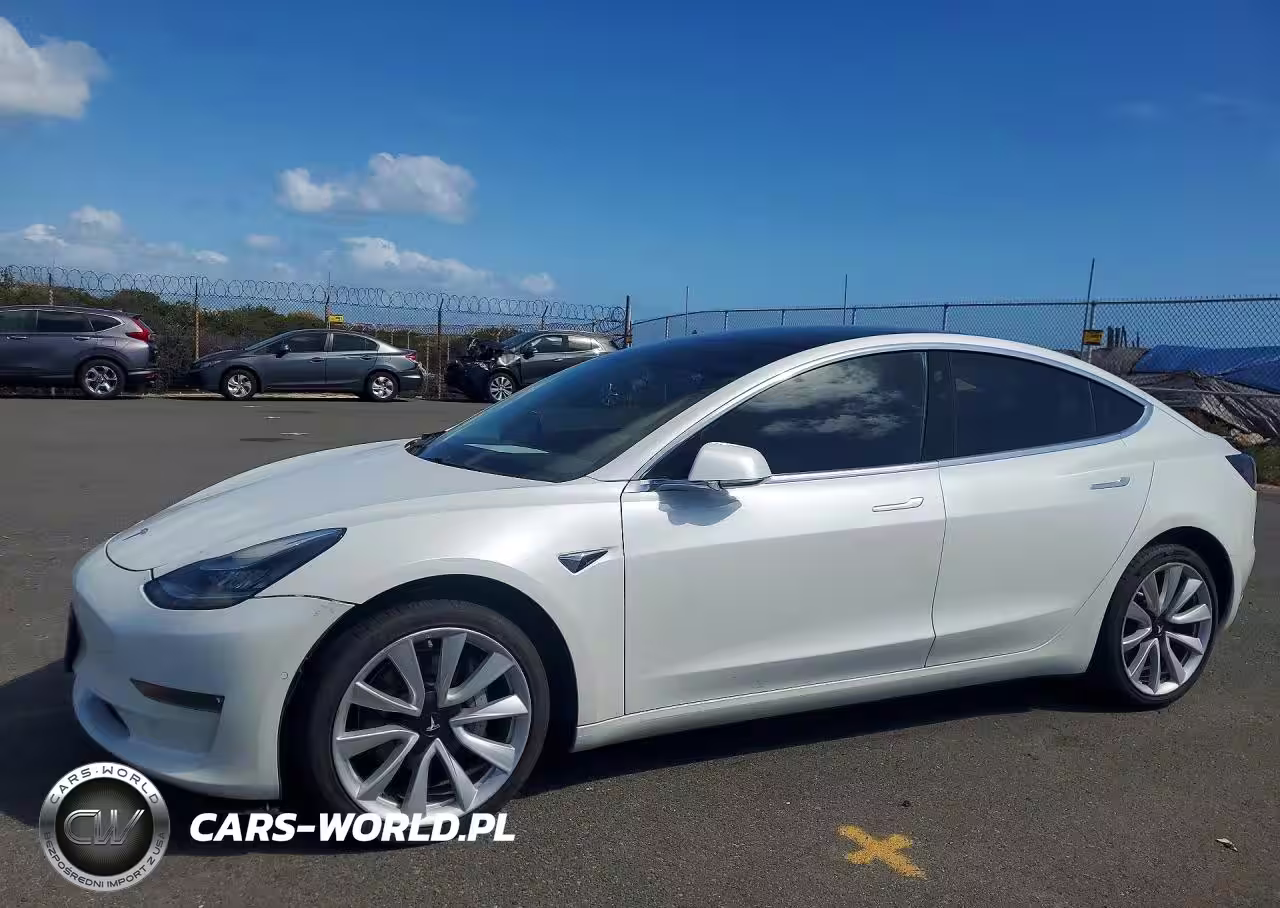 2019 Tesla Model 3