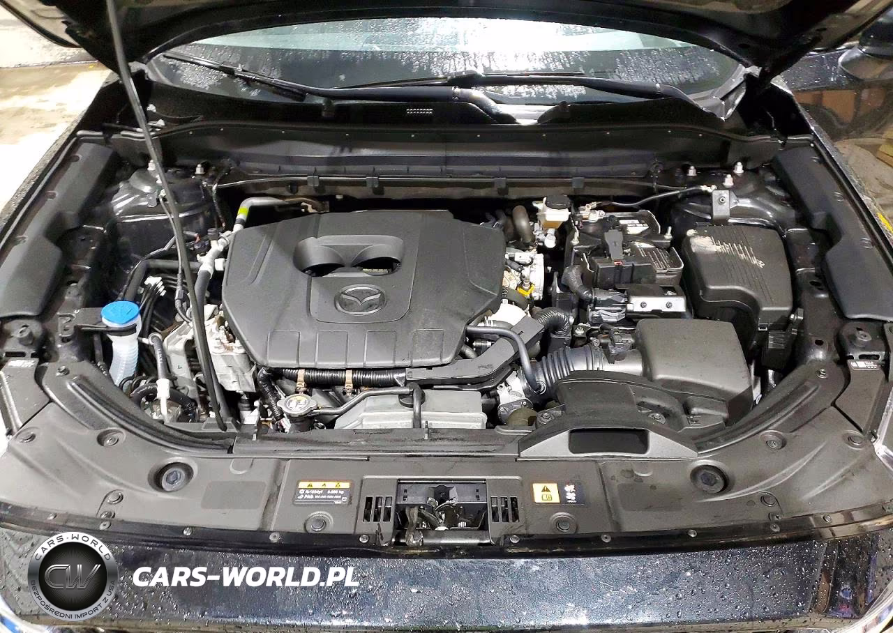2025 Mazda Cx-5 Premium Plus VIN:JM3KFBEM0S0661732 - 12