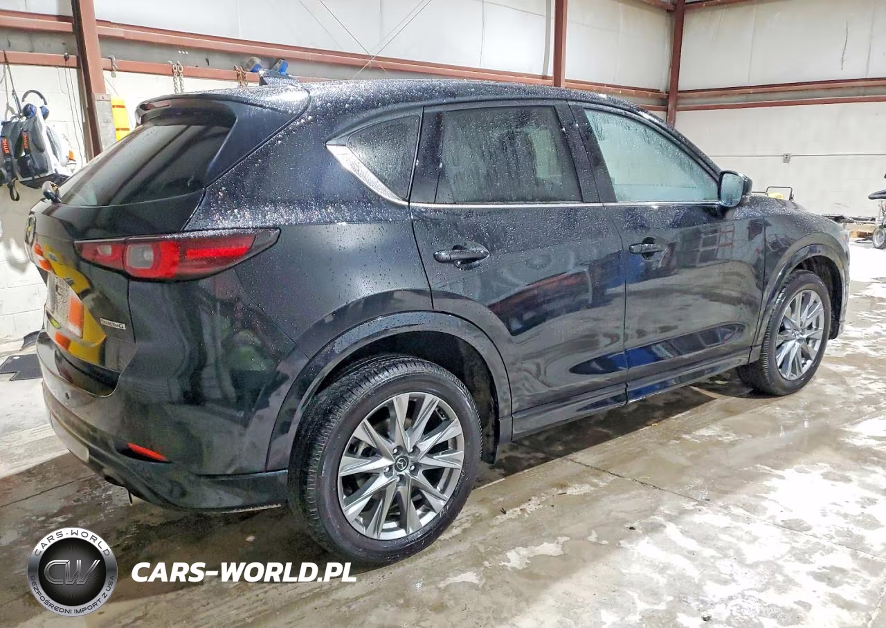 2025 Mazda Cx-5 Premium Plus VIN:JM3KFBEM0S0661732 - 3