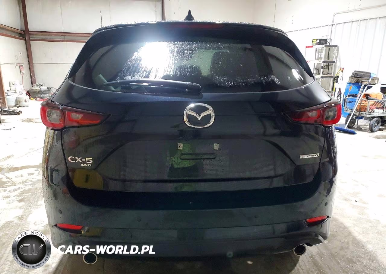 2025 Mazda Cx-5 Premium Plus VIN:JM3KFBEM0S0661732 - 6