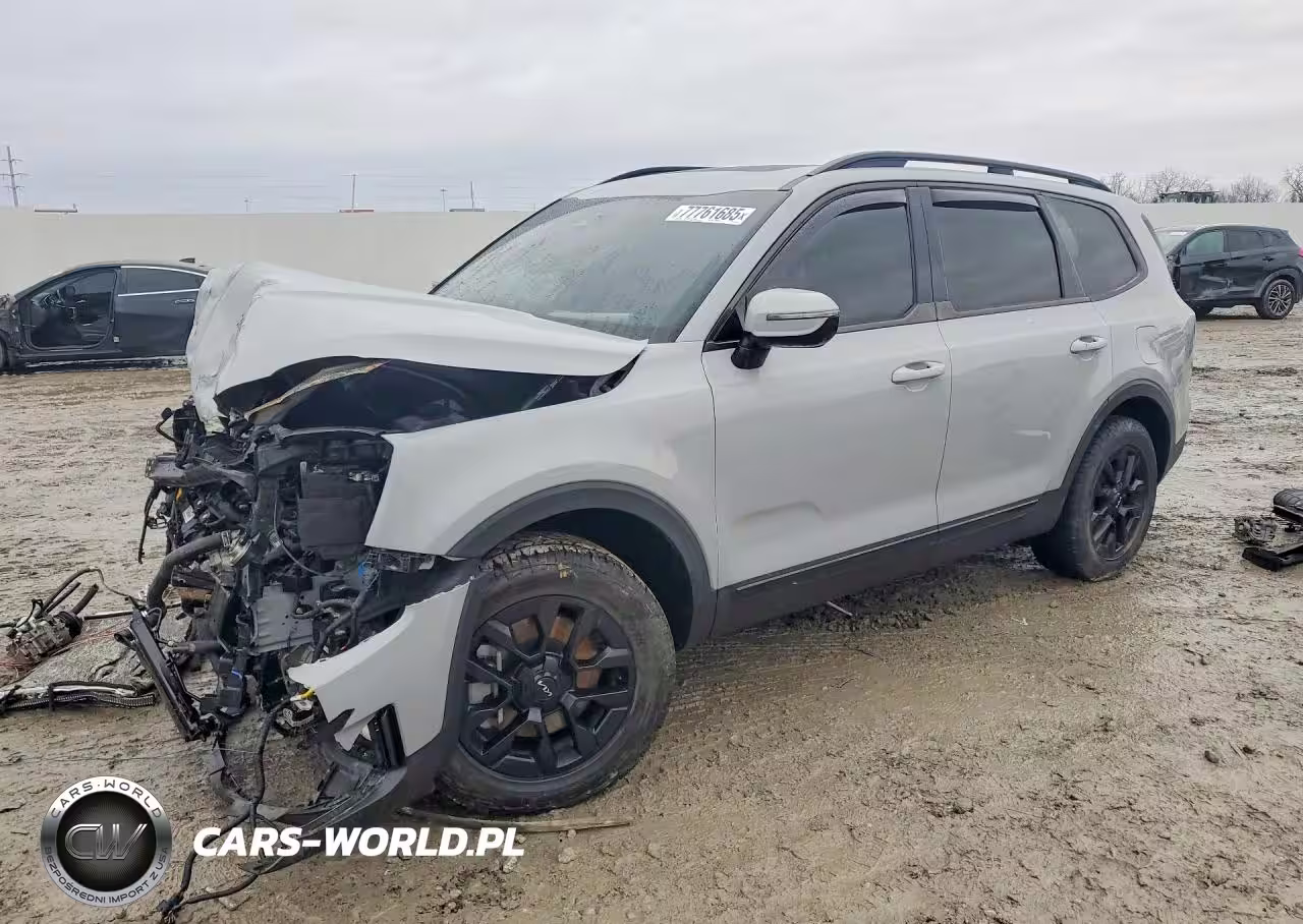 2024 Kia Telluride Sx-Prestige X-Pro