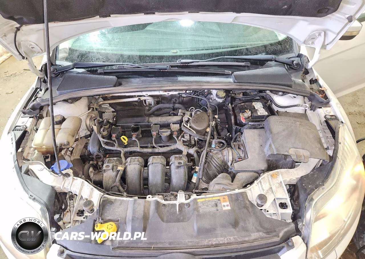 2014 Ford Focus Se VIN:1FADP3F22EL105920 - 11