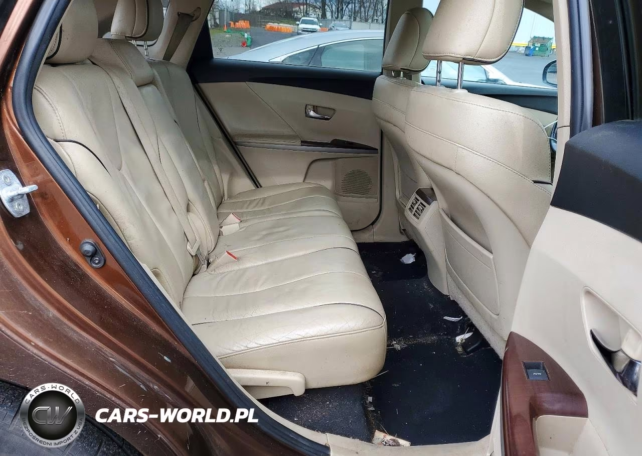 2010 Toyota Venza VIN:4T3BK3BB6AU028854 - 10