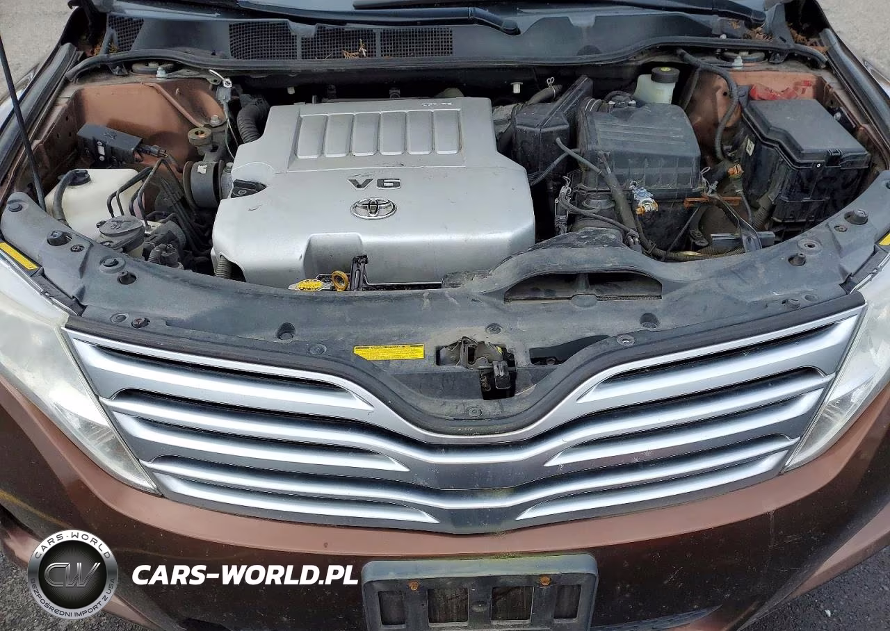 2010 Toyota Venza VIN:4T3BK3BB6AU028854 - 11