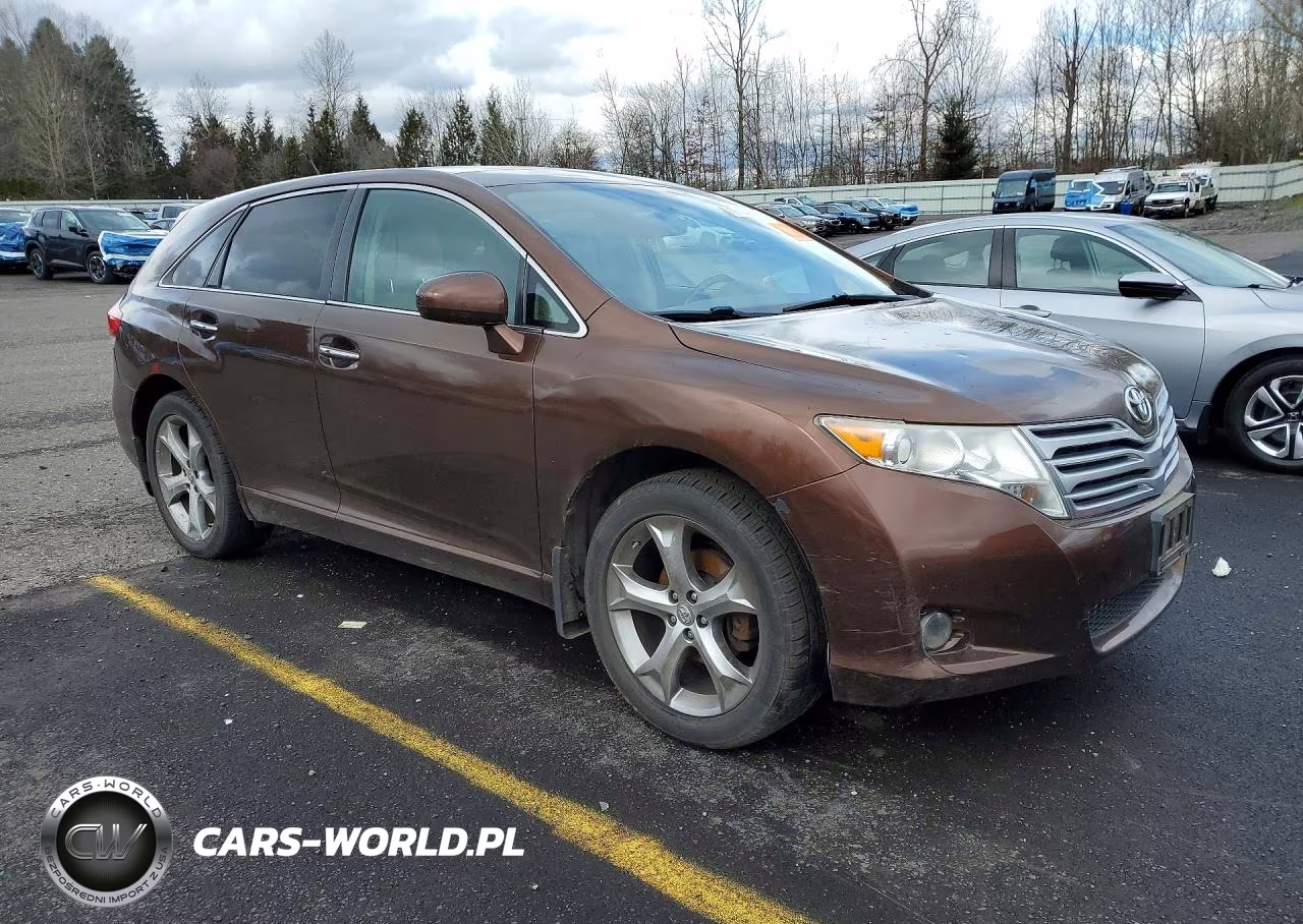 2010 Toyota Venza VIN:4T3BK3BB6AU028854 - 4