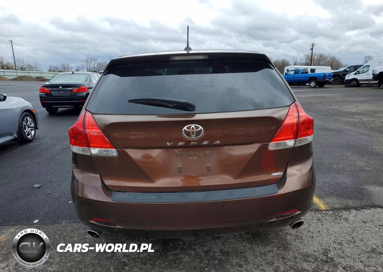 2010 Toyota Venza VIN:4T3BK3BB6AU028854 - 6