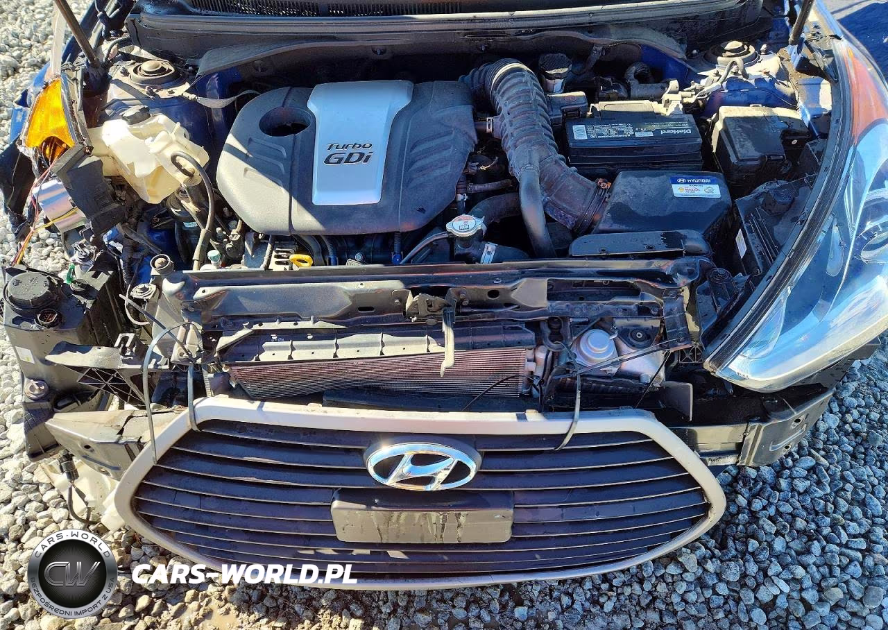 2016 Hyundai Veloster Turbo VIN:KMHTC6AEXGU272233 - 11