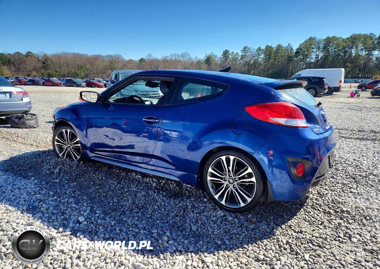 2016 Hyundai Veloster Turbo VIN:KMHTC6AEXGU272233 - 2