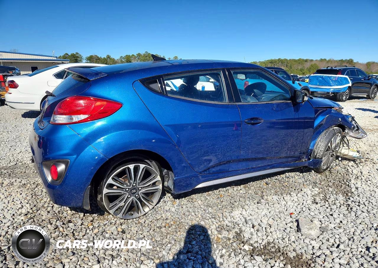 2016 Hyundai Veloster Turbo VIN:KMHTC6AEXGU272233 - 3