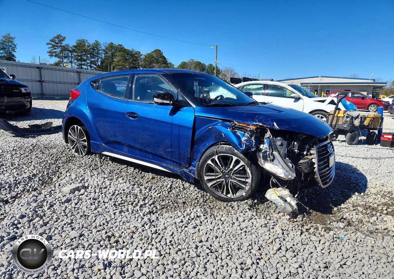 2016 Hyundai Veloster Turbo VIN:KMHTC6AEXGU272233 - 4