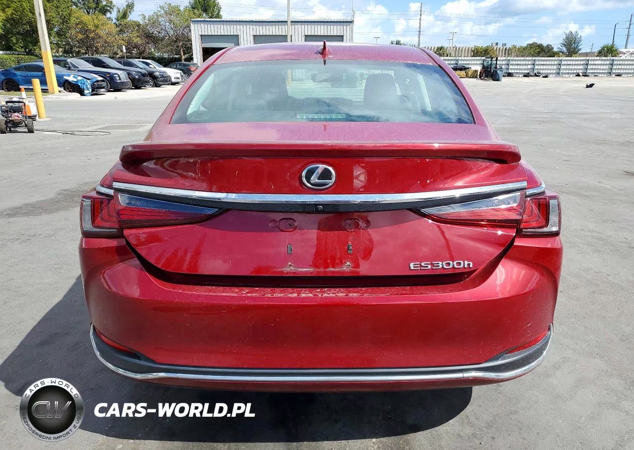 2024 Lexus Es300H VIN:58AFA1C11RU040177 - 6