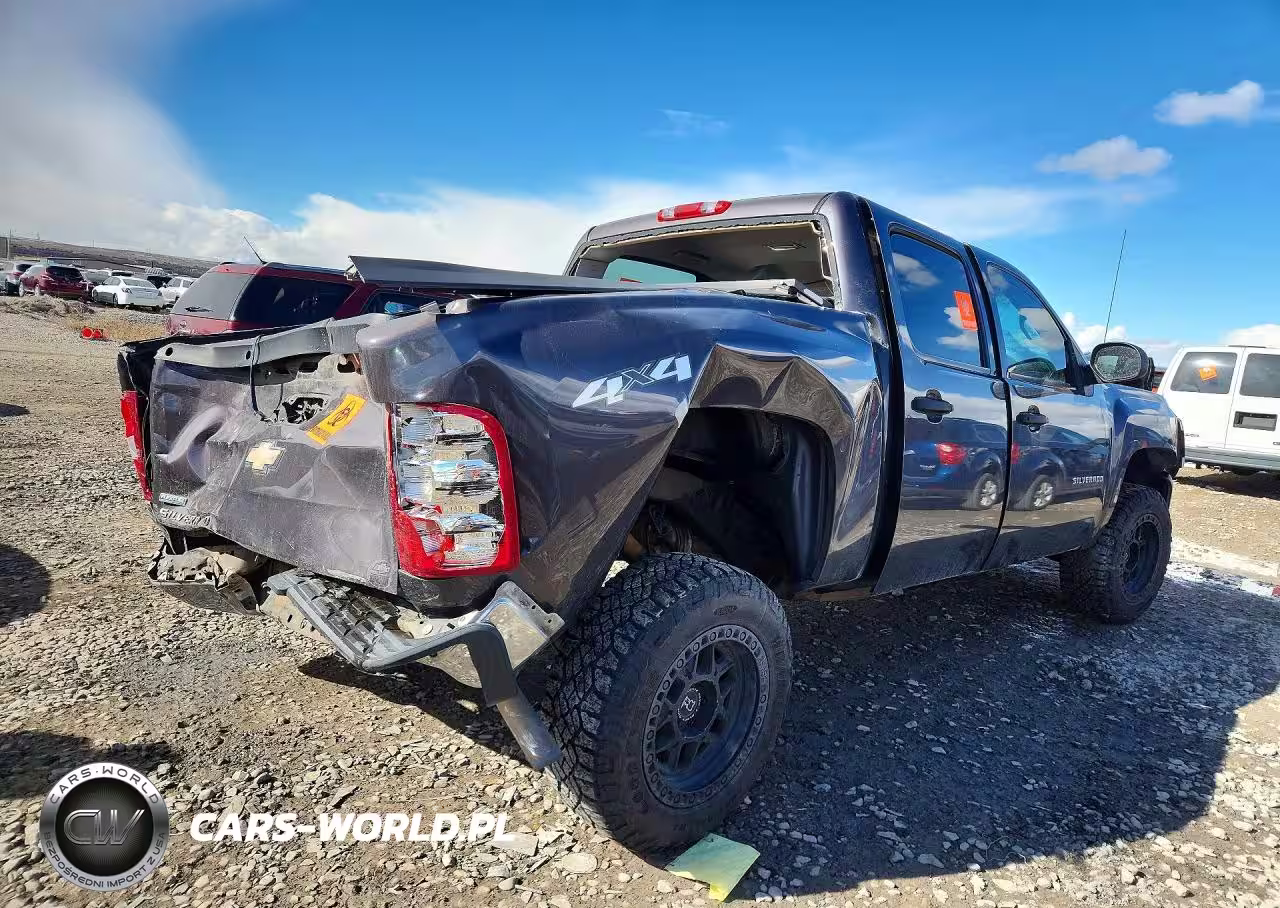 2010 Chevrolet Silverado K1500 VIN:3GCRKPE3XAG112590 - 3