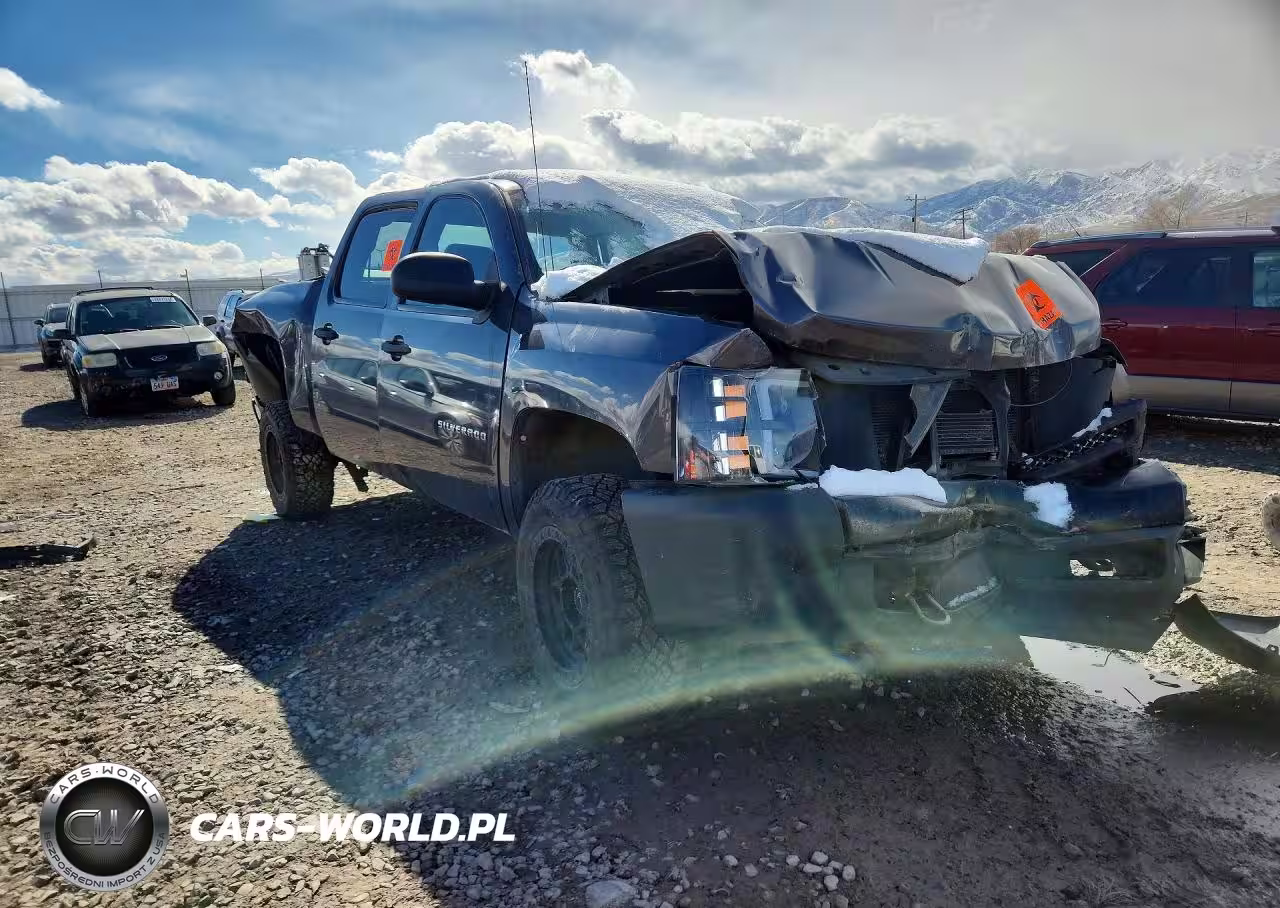 2010 Chevrolet Silverado K1500 VIN:3GCRKPE3XAG112590 - 4