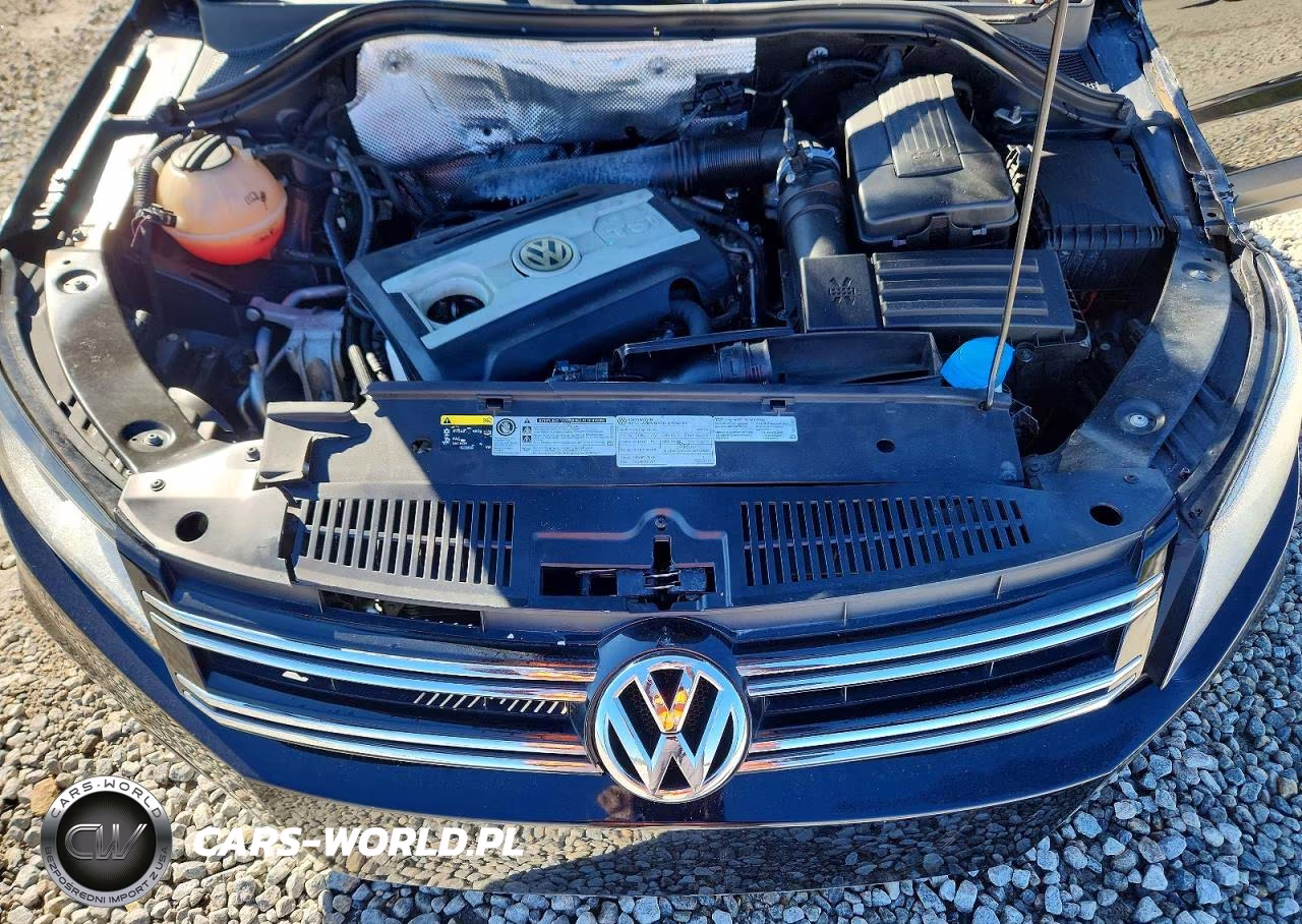 2015 Volkswagen Tiguan S VIN:WVGAV7AX1FW545359 - 12