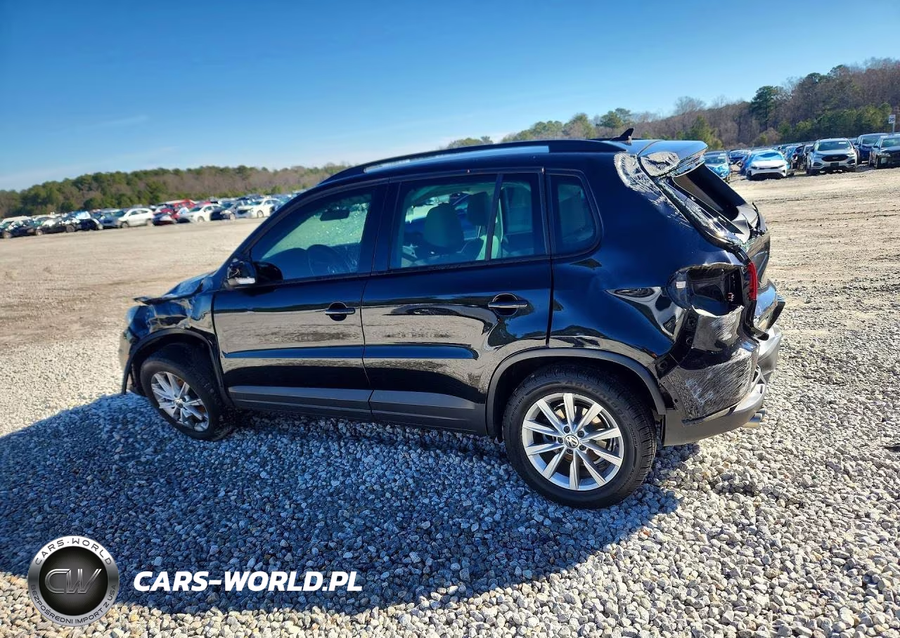 2015 Volkswagen Tiguan S VIN:WVGAV7AX1FW545359 - 2