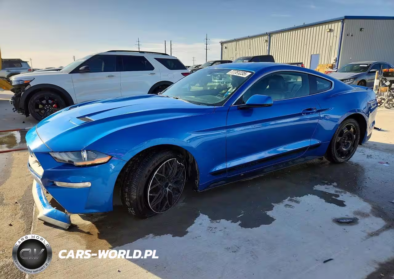 2019 Ford Mustang