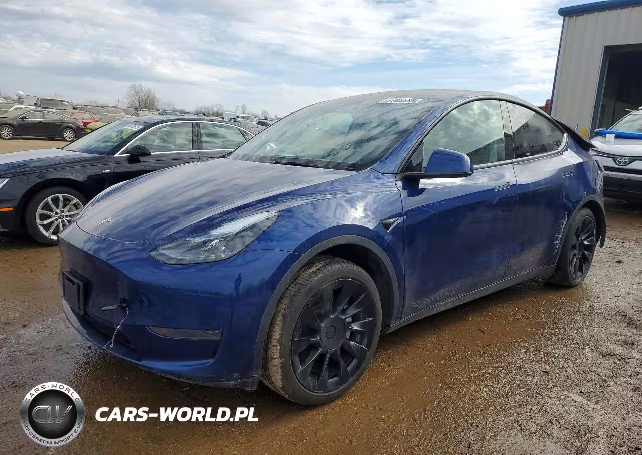 2024 Tesla Model Y