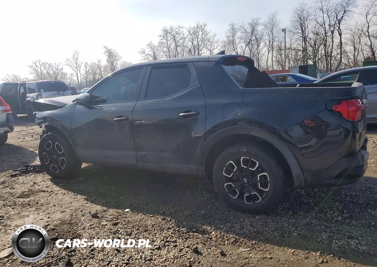2024 Hyundai Santa Cruz Sel VIN:5NTJBDDE1RH119219 - 2