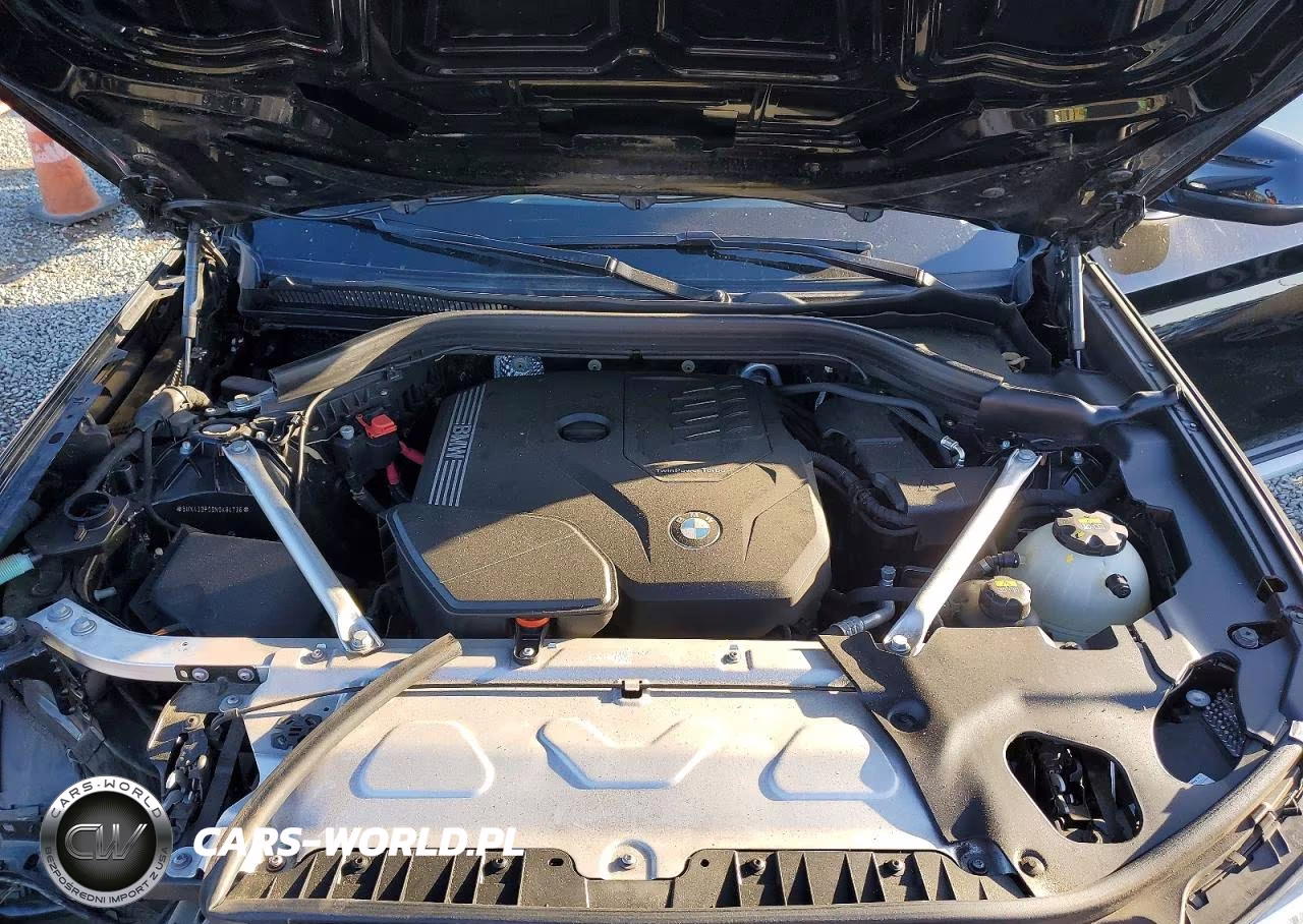 2022 BMW X3 Sdrive30I VIN:5UX43DP09N9K84736 - 12