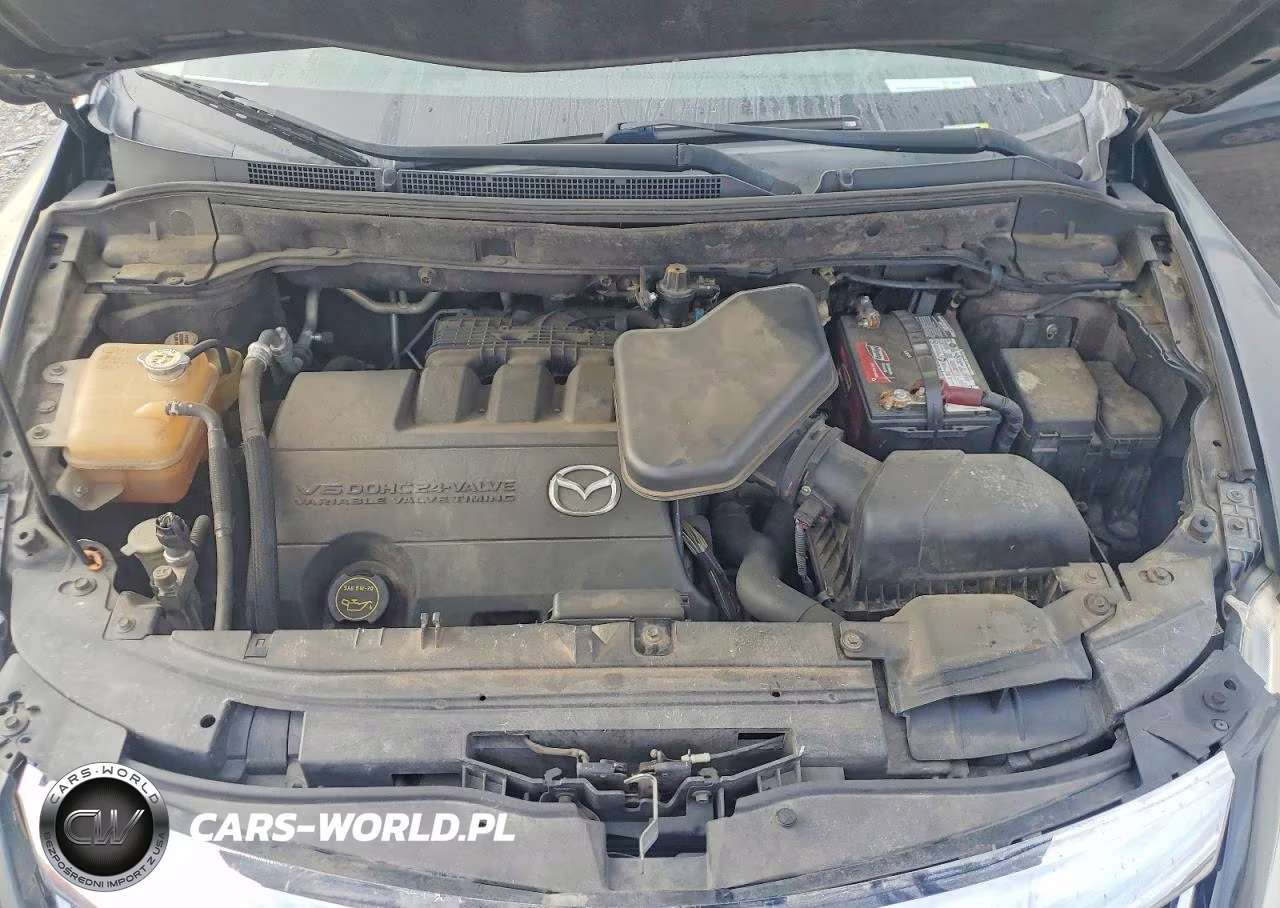 2010 Mazda Cx-9 VIN:JM3TB2MA3A0203723 - 12