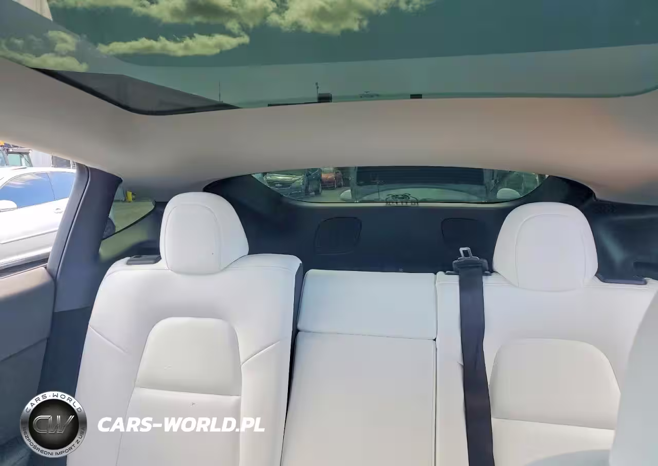 2023 Tesla Model Y VIN:7SAYGDEE2PF683764 - 10