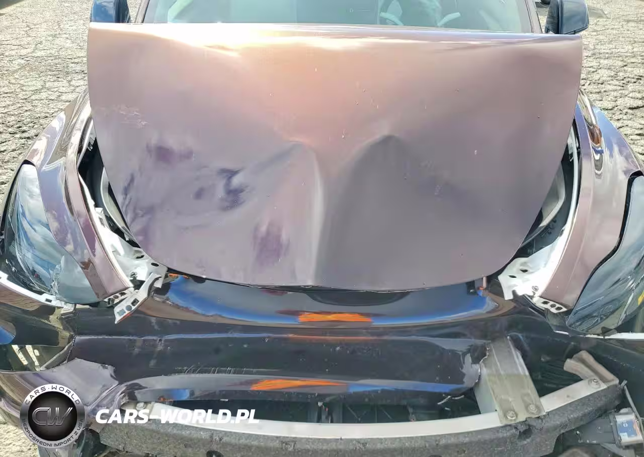 2023 Tesla Model Y VIN:7SAYGDEE2PF683764 - 12