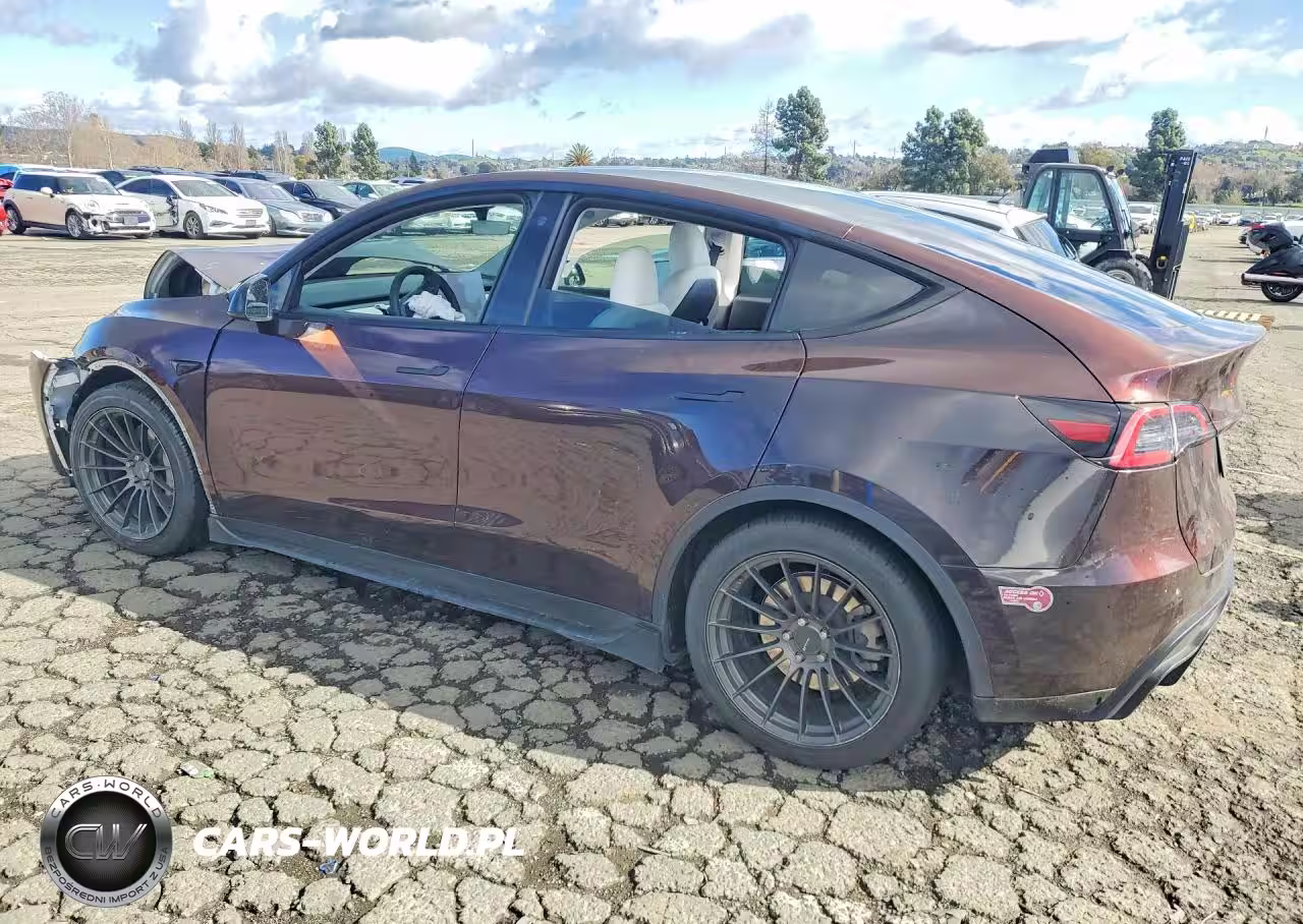 2023 Tesla Model Y VIN:7SAYGDEE2PF683764 - 2