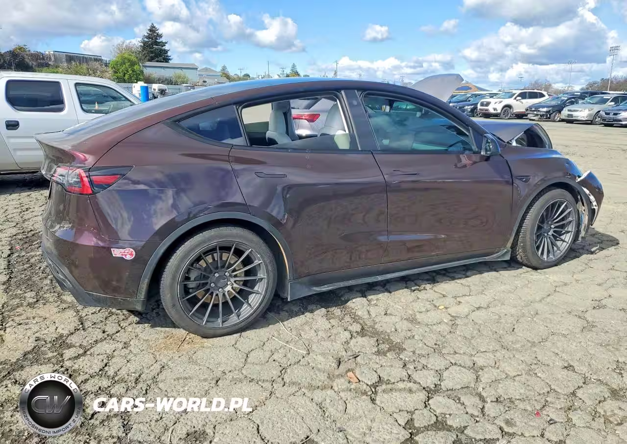 2023 Tesla Model Y VIN:7SAYGDEE2PF683764 - 3