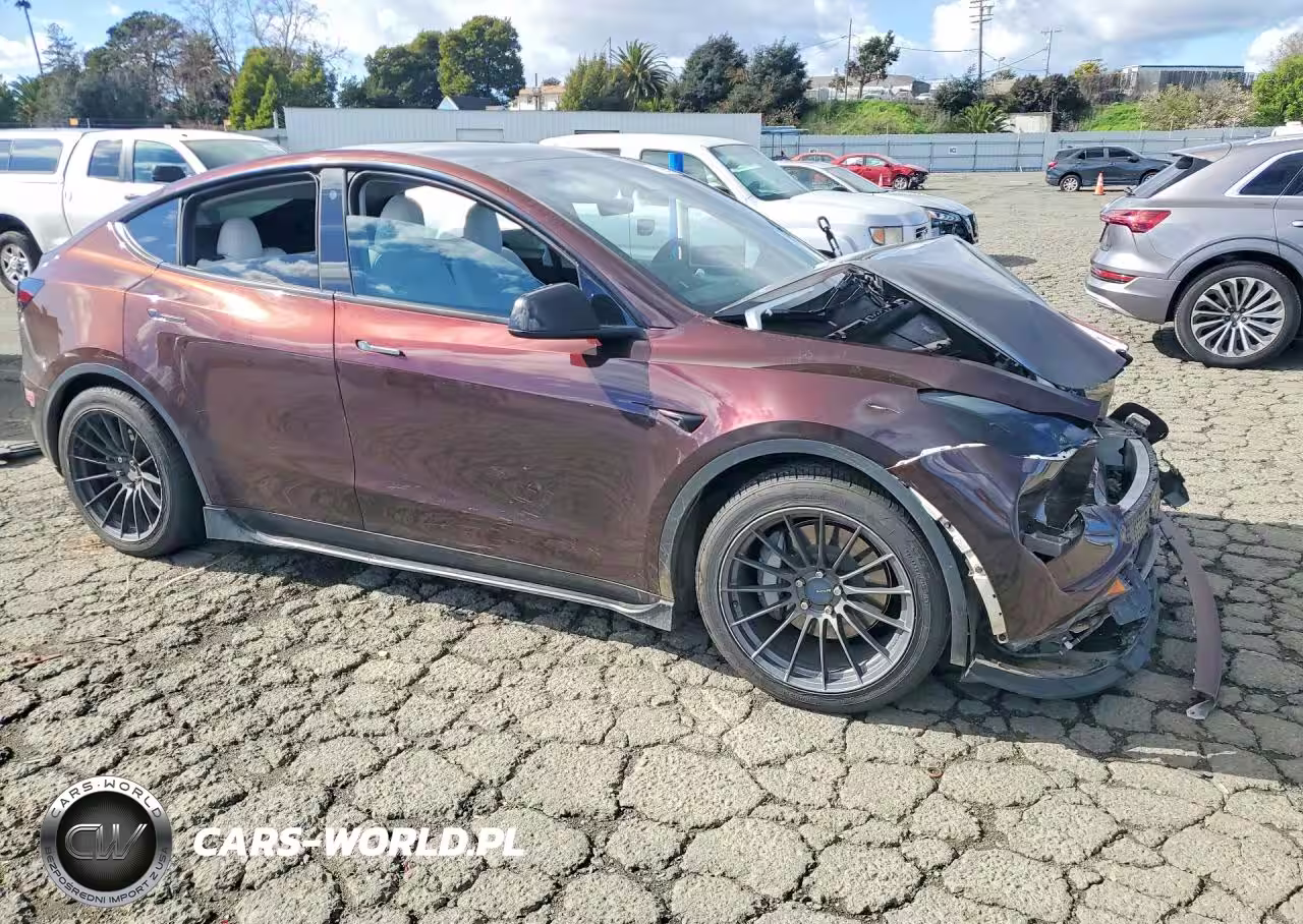 2023 Tesla Model Y VIN:7SAYGDEE2PF683764 - 4