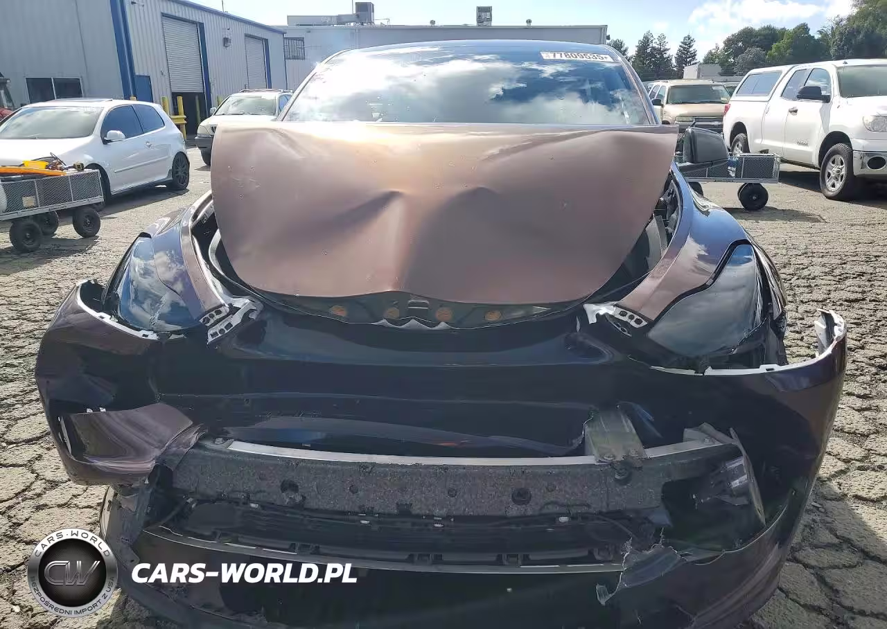 2023 Tesla Model Y VIN:7SAYGDEE2PF683764 - 5