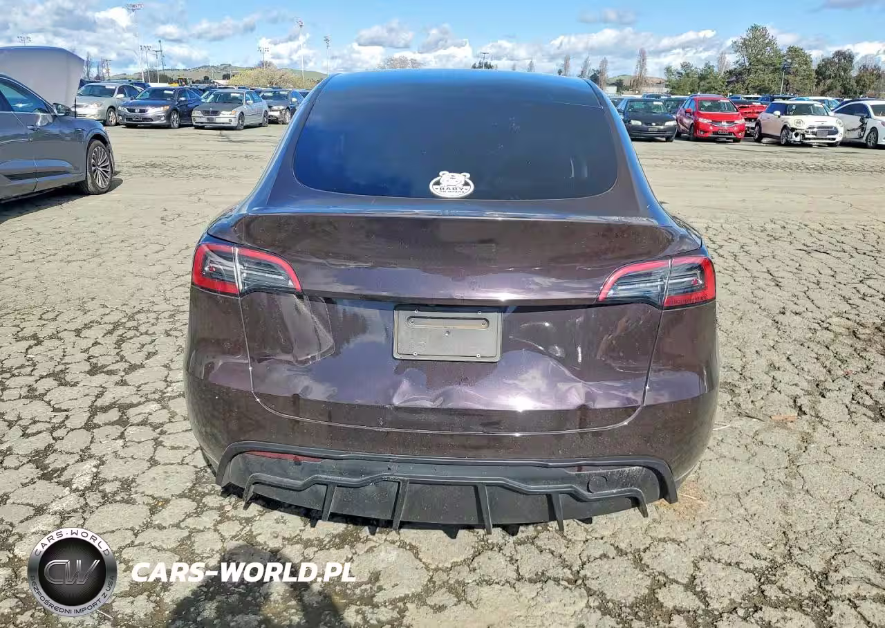 2023 Tesla Model Y VIN:7SAYGDEE2PF683764 - 6