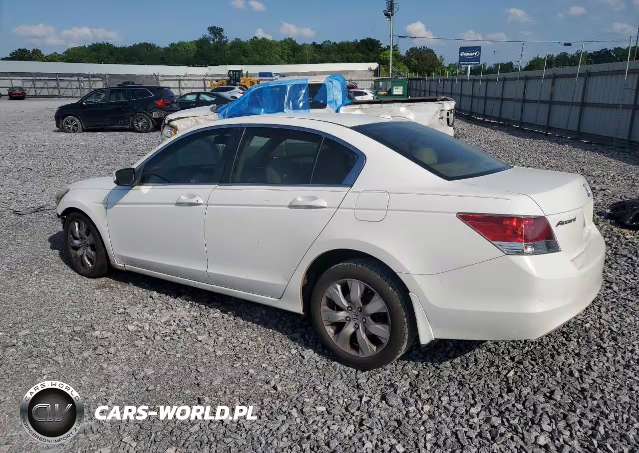 2009 Honda Accord Exl VIN:1HGCP26859A044554 - 2