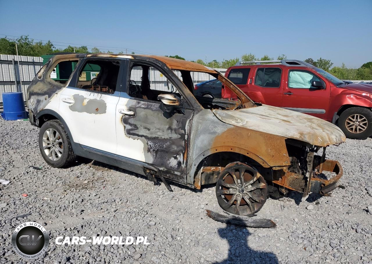 2020 Kia Telluride Lx VIN:5XYP24HC2LG028668 - 4