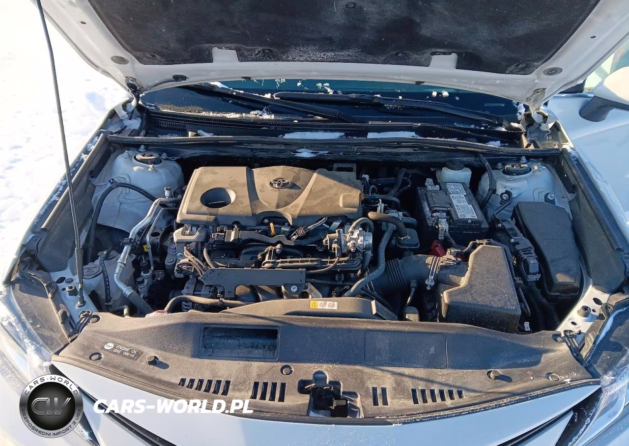 2022 Toyota Camry Le VIN:4T1C11BK0NU065666 - 11