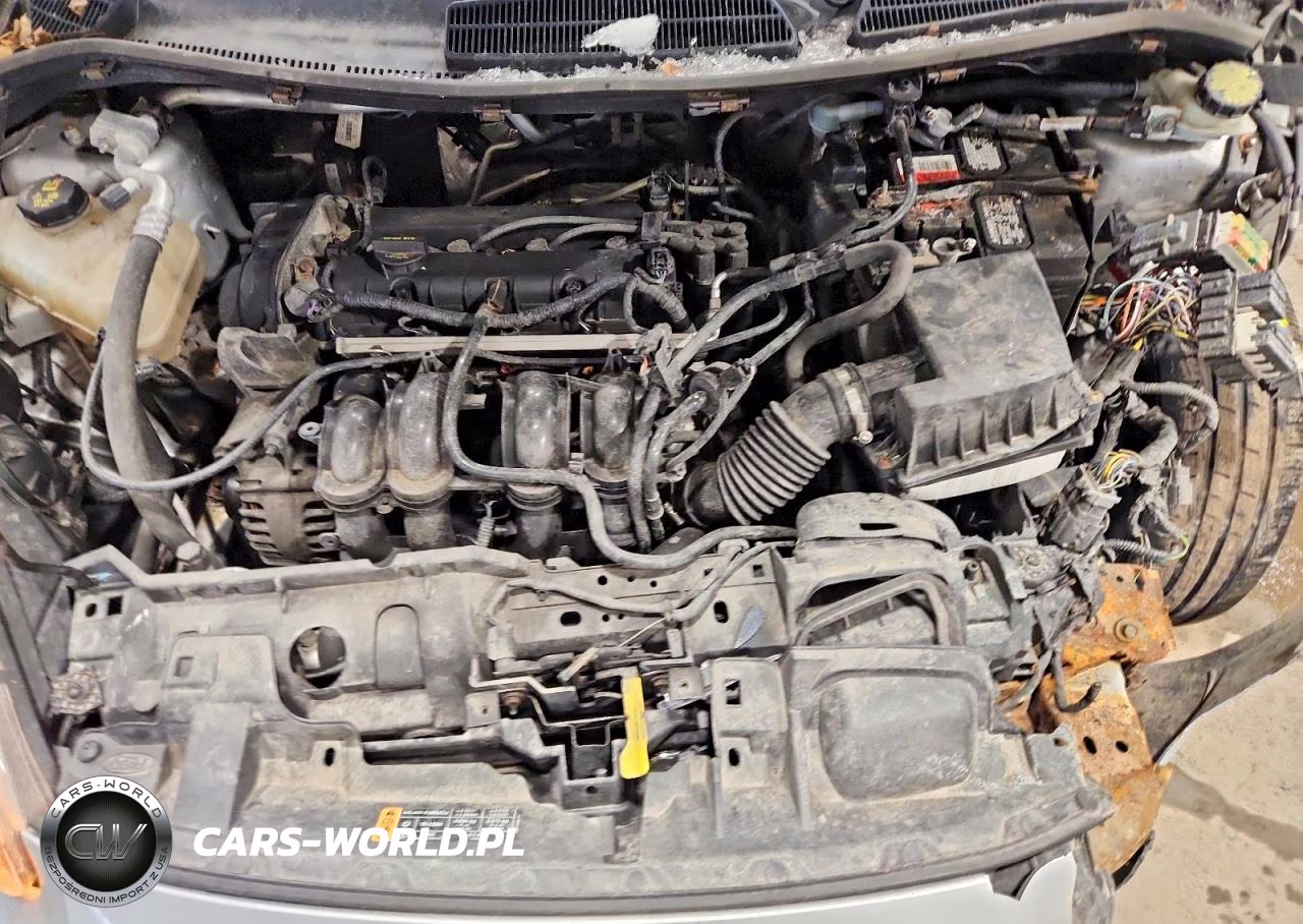 2014 Ford Fiesta Se VIN:3FADP4EJ0EM158984 - 11