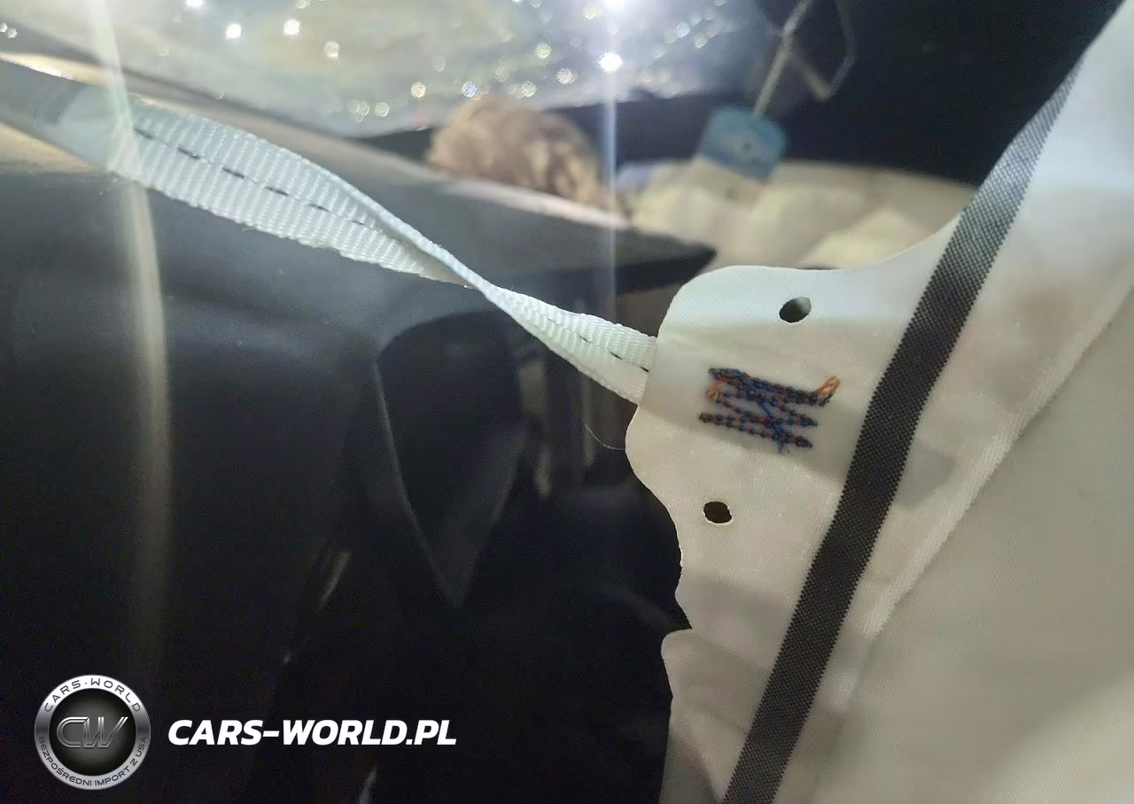 2016 Tesla Model X VIN:5YJXCAE27GF002877 - 9