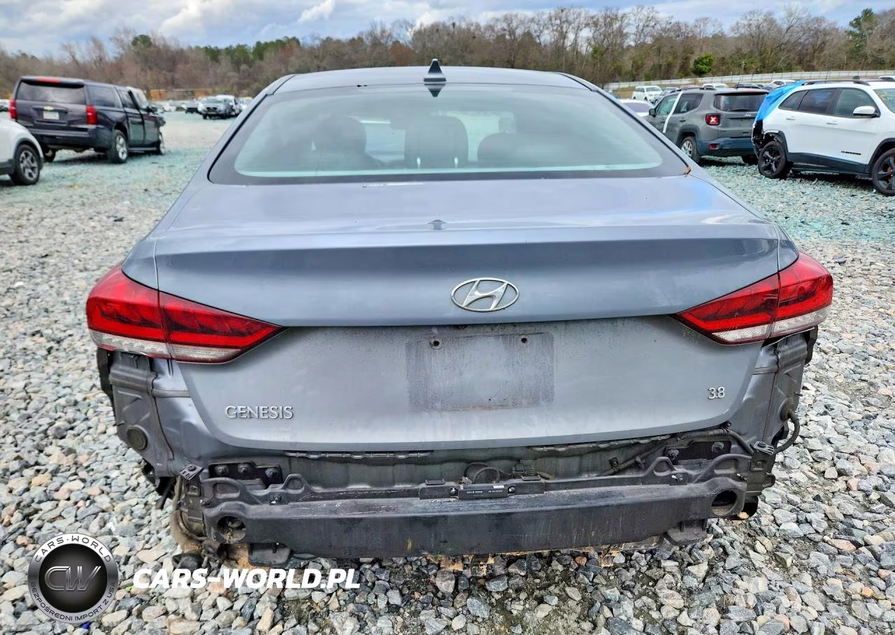 2015 Hyundai Genesis 3.8L VIN:KMHGN4JE0FU028010 - 6
