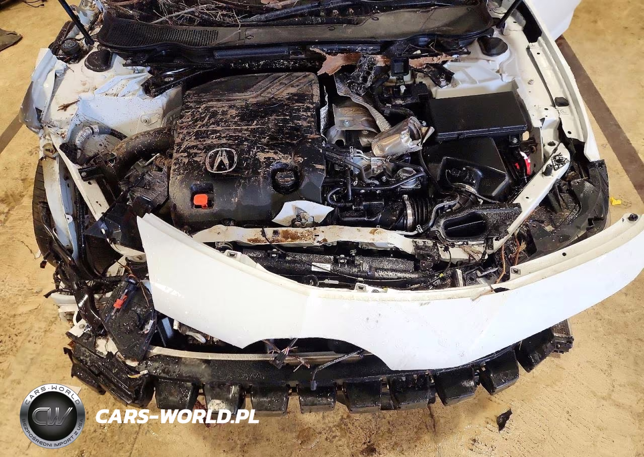 2025 Acura Tlx Type S VIN:19UUB7F05SA001364 - 11