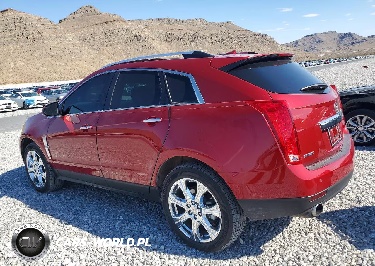 2011 Cadillac Srx Premium Collection VIN:3GYFNCEY7BS613556 - 2