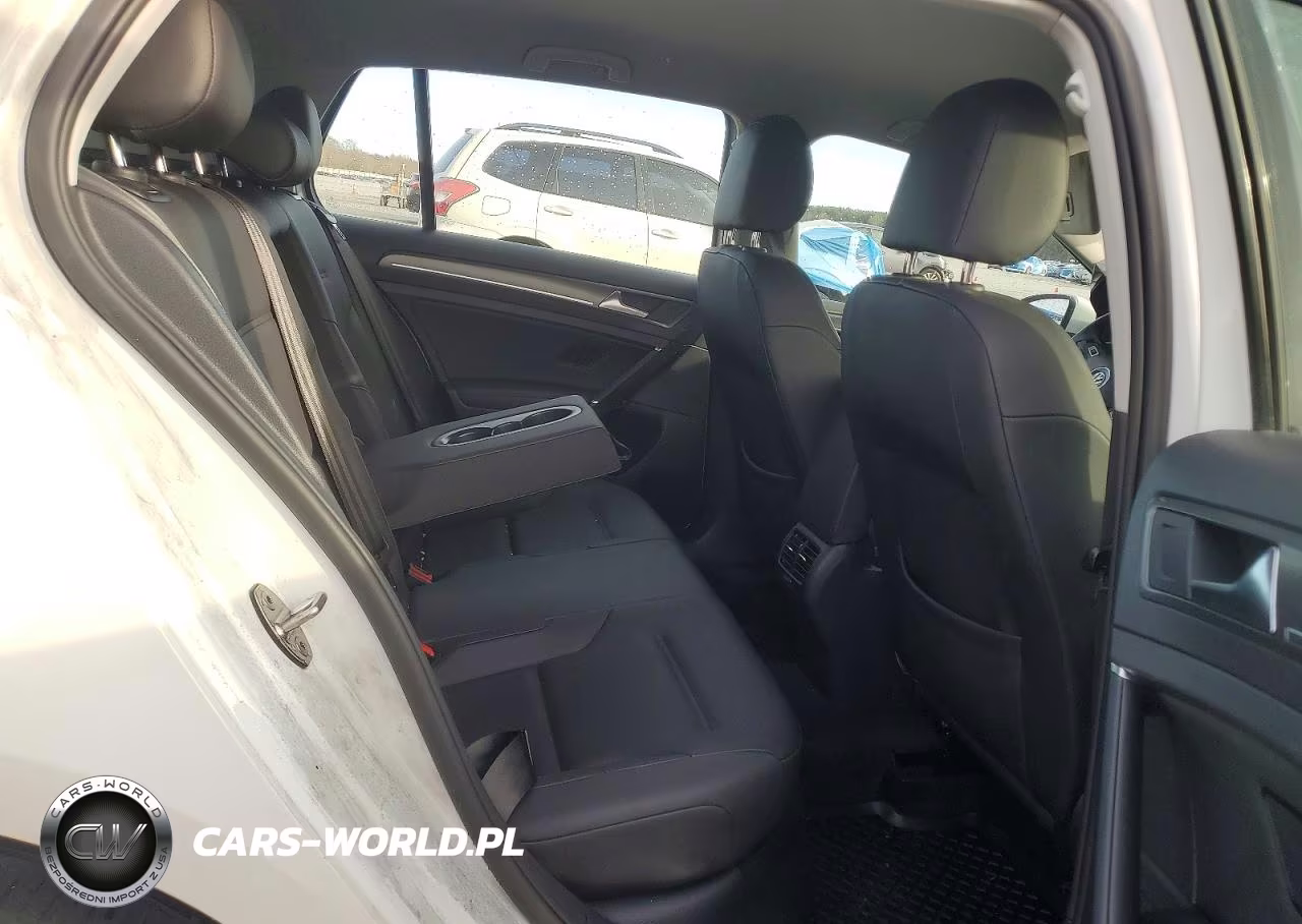 2019 Volkswagen E-Golf Sel Premium VIN:WVWPR7AU1KW916071 - 10