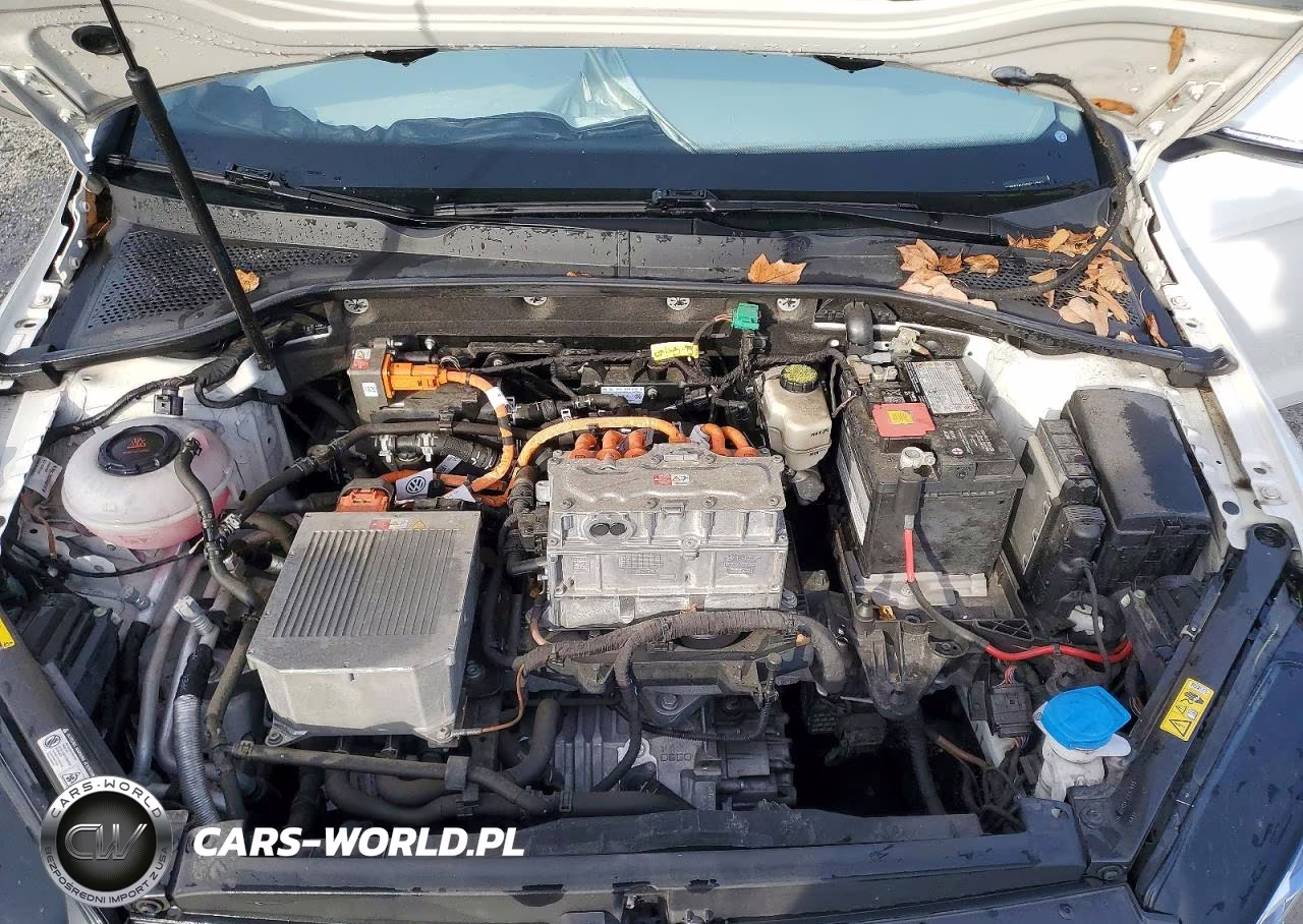 2019 Volkswagen E-Golf Sel Premium VIN:WVWPR7AU1KW916071 - 11