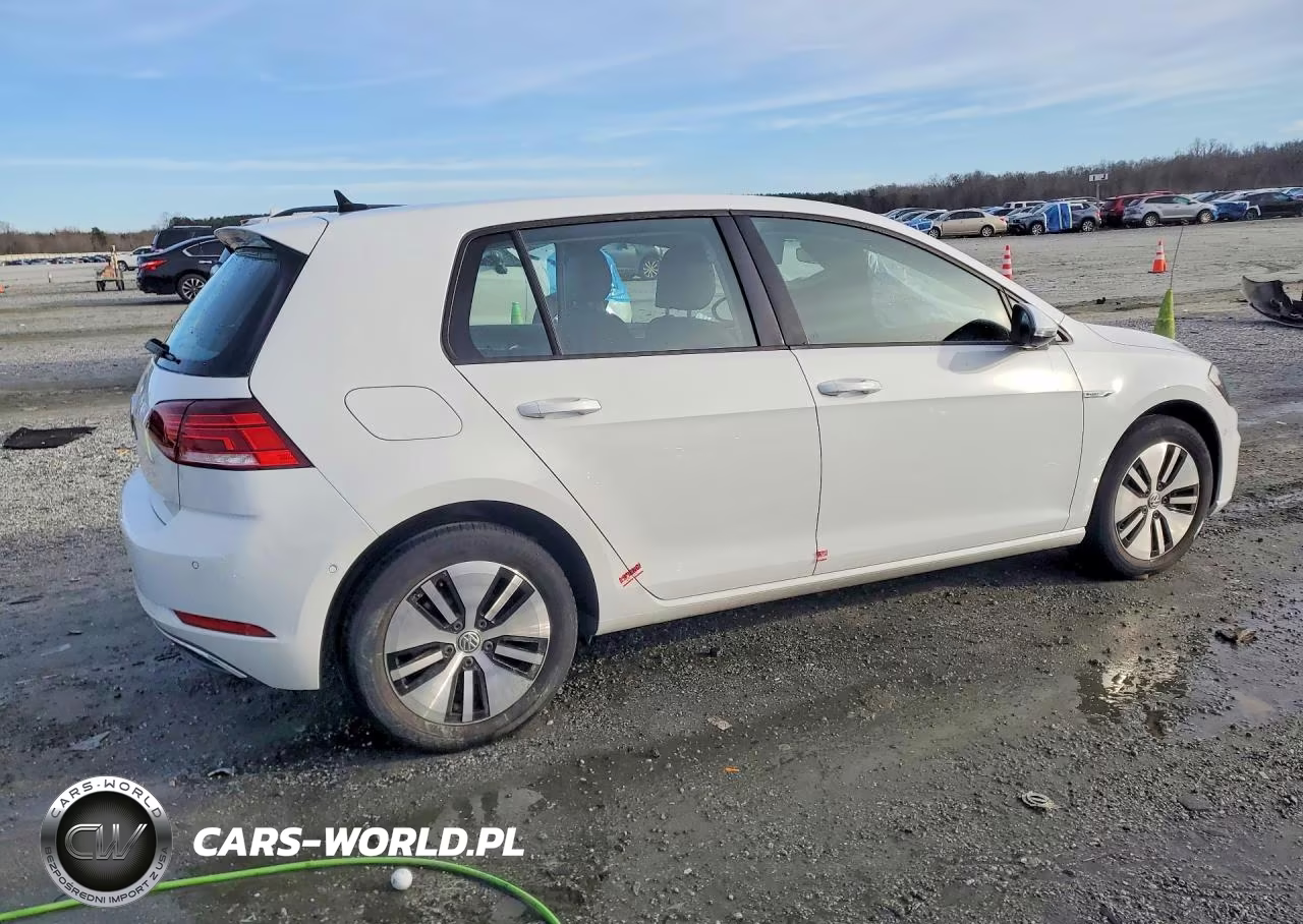 2019 Volkswagen E-Golf Sel Premium VIN:WVWPR7AU1KW916071 - 3