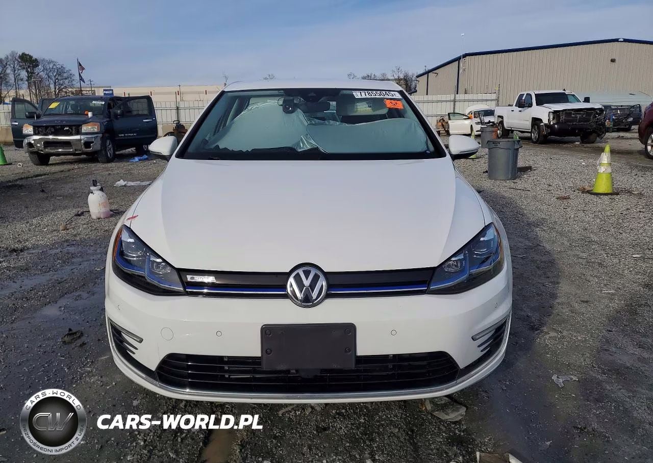 2019 Volkswagen E-Golf Sel Premium VIN:WVWPR7AU1KW916071 - 5