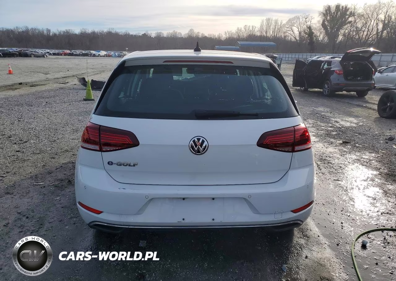 2019 Volkswagen E-Golf Sel Premium VIN:WVWPR7AU1KW916071 - 6